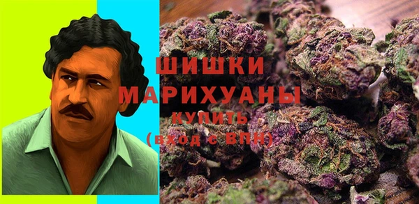 круглые Вяземский