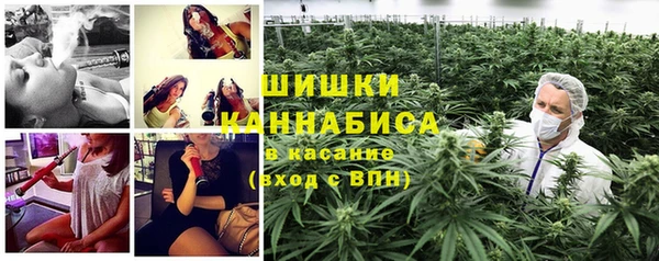круглые Вяземский